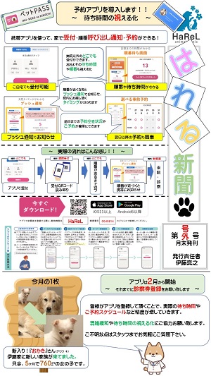 HaReLアニマルクリニック様_記事内画像_1