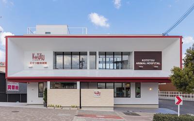 こてつ動物病院様_記事内画像_4