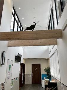 こてつ動物病院様_記事内画像_3