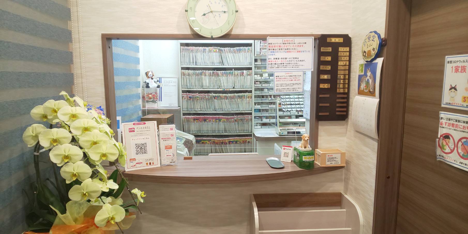 いばらき動物病院様_記事内画像_2