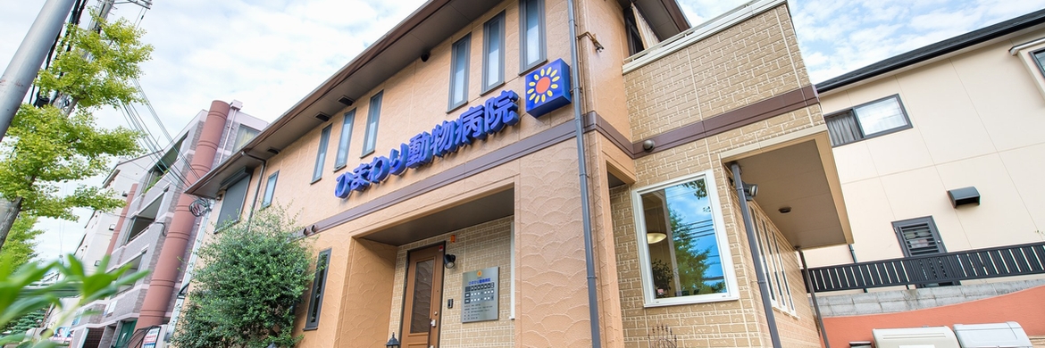 ひまわり動物病院様_記事内画像_3_r2