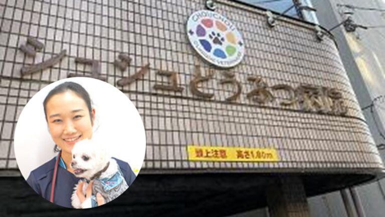 シュシュどうぶつ病院様_サムネイル画像