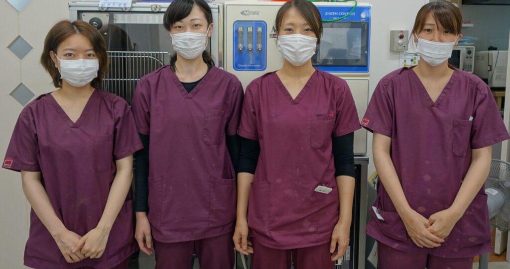 田中動物病院様_記事内画像_3